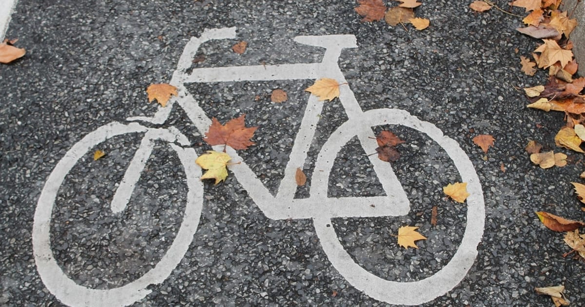 A white bicycle marking on asphalt with fallen leaves